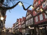 Charming old town apartment