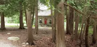 Charming Vintage Cabin on Beautiful Walloon Lake