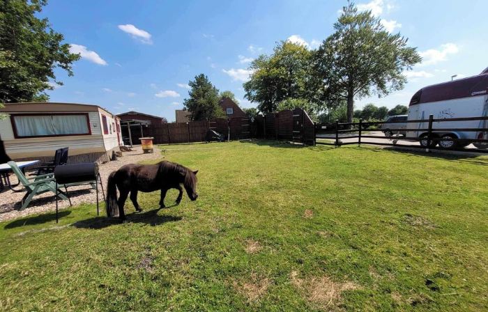 Urlaub mit Ponies und Campingflair