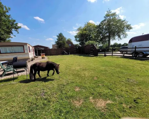 Urlaub mit Ponies und Campingflair Hotels in Ihlow