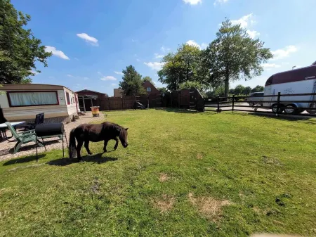 Urlaub mit Ponies und Campingflair Отели в г. Илов