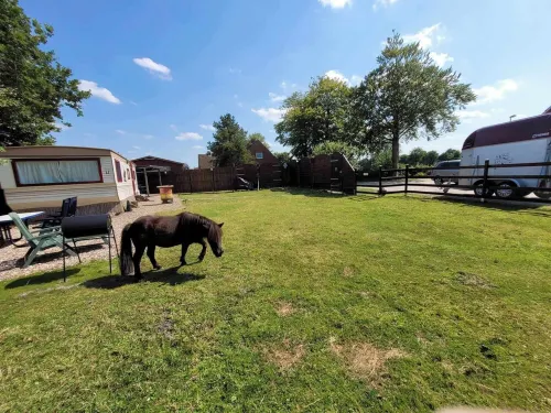 Urlaub mit Ponies und Campingflair