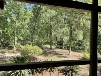 A charming cabin tucked in the woods