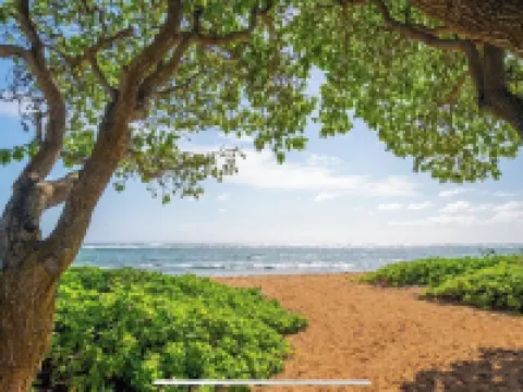 A BEAUTIFUL OCEAN FRONT RESORT CONDO! Hotels in Kapaa