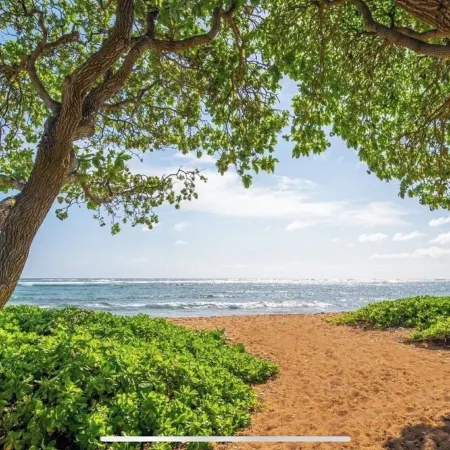 A BEAUTIFUL OCEAN FRONT RESORT CONDO!