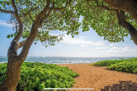 A BEAUTIFUL OCEAN FRONT RESORT CONDO!