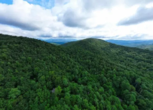 Log cabin, Blue Rdg. Mtn.,  A.T., Helton Crk falls, Vogel St. Park, near Helen