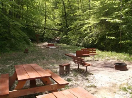 3BR, 2 Bath Cabin with full kitchen, living room, hot tub and spacious backyard.