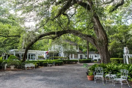 We Love Pets and They Love Our Amenities