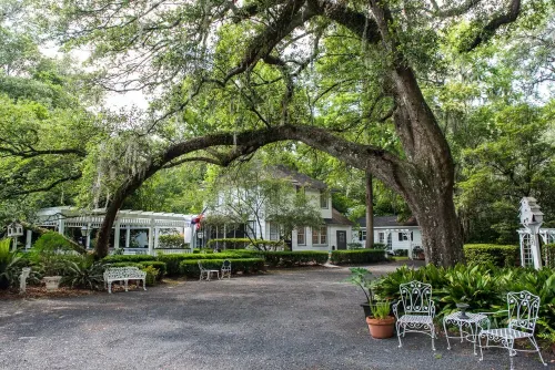 We Love Pets and They Love Our Amenities