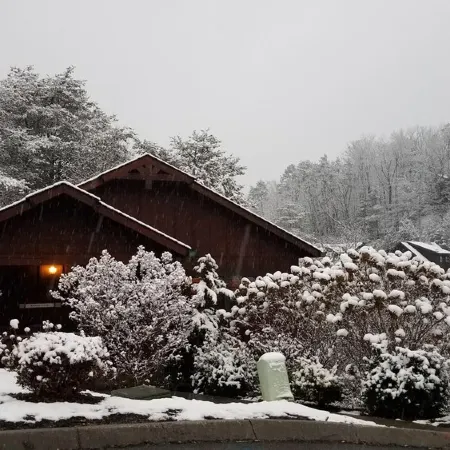 Shady Cove Cabin Pigeon Forge / 10 minutes to Gatlinburg