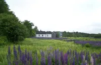 1850s Farm House - Minutes from Acadia, Lamoine Beach, and Lamoine State Park
