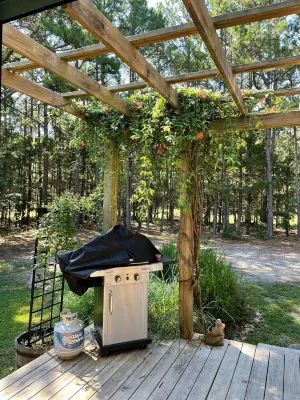 The Fairy Hut @ Iris Hill Glamping