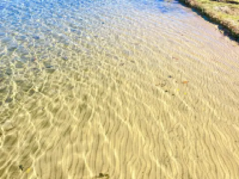 Ivy Lane is located on Crosslake of the Whitefish Chain of Lakes Hotels in Crosslake