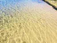 Ivy Lane is located on Crosslake of the Whitefish Chain of Lakes