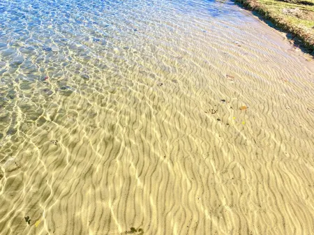 Ivy Lane is located on Crosslake of the Whitefish Chain of Lakes