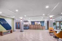 Spark by Hilton Dumas