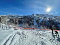 Modern Mountain Retreat - Ski-in-Out - Heated Pool and Hot Tub