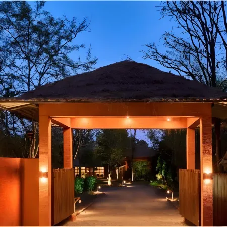 Saj in the Forest, Pench