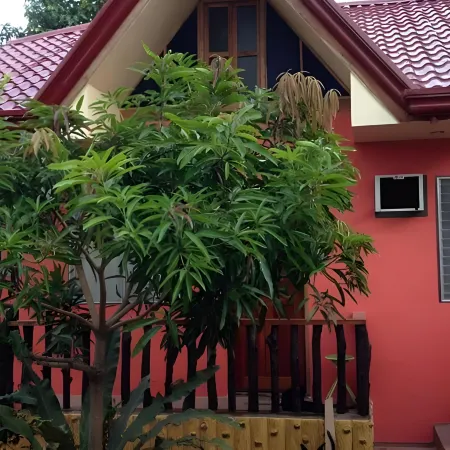 Villa Saturnina