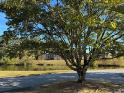 Down to the Wire, Cozy 2-bedroom condo with WiFi and AC in welcoming Auburn