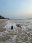 illa - By the sea - Beach