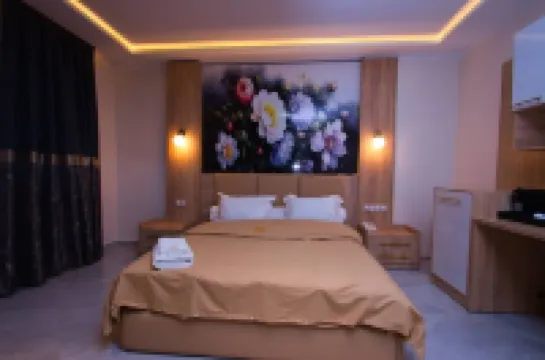 HOTEL AIFA Hotels in 