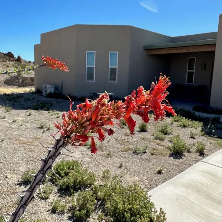 Paisano Village RV Park & Inn