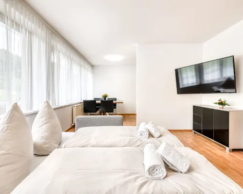 Studio Iris in B Rserberg Hotels in Bürserberg