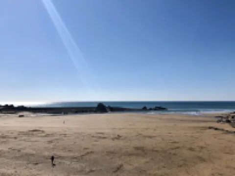 樹旅館 比尤德－斯特拉頓酒店