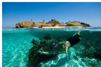 Milos AquaBliss Beachfront Villas