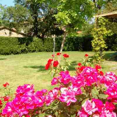 Three-Room Apartment on the Outskirts of Chianti Hotel Exterior