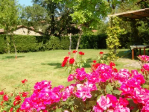 Apartment for 2 People Surrounded by Nature Hoteles en Bucine