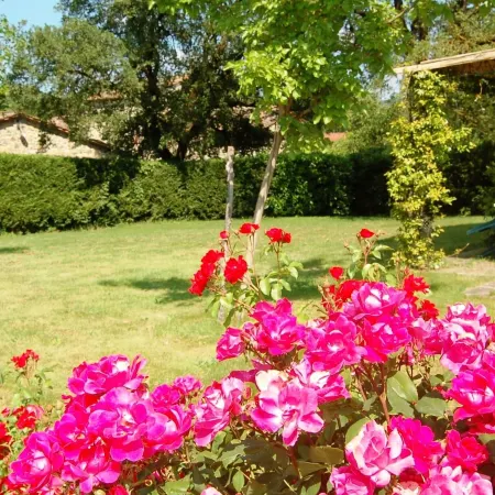 Three-Room Apartment on the Outskirts of Chianti