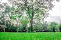 Mulembe Villa Hotels in Kakamega County