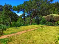 Kidrak Camping Namaste Hôtels à proximité de : Butterfly Valley