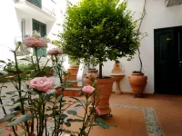 Hotel Antica Repubblica in Amalfi Center at 100mt from the Sea