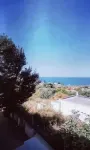 Villa Bianca immersa nel verde