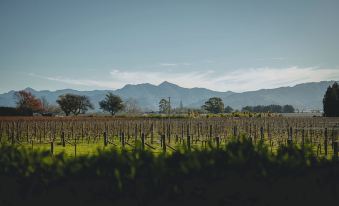 St Leonards Vineyard Cottages