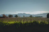 St Leonards Vineyard Cottages Hotels in Rapaura