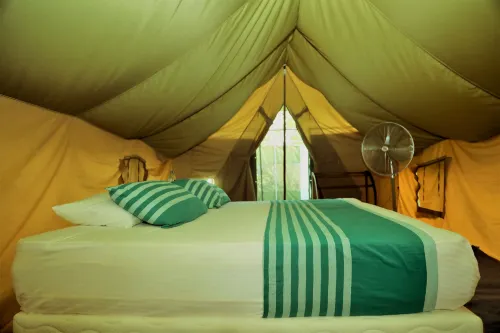 Base Camp Wilpattu - camping