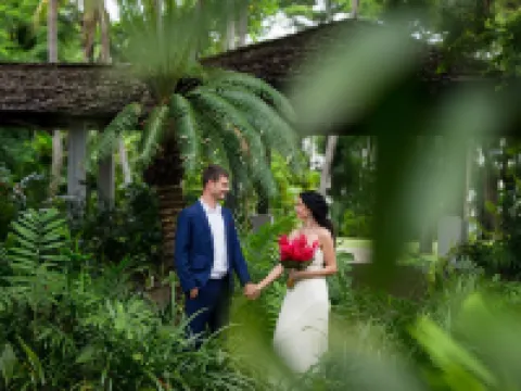 斐濟喜來登高爾夫海濱度假酒店 迪那橈島酒店