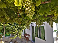 Laurel LK Houses in Kritinia Rhodes Hotels in Chalki