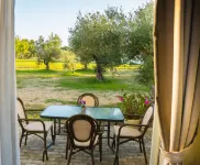 Olive Trees Garden Lixouri