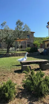 Agriturismo la Posta Reale Hotels in Subbiano