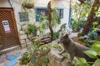 Havaya Ba Nof Lodge Hotels in Rosh Pinna