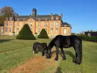24H le Mans Château de Lauresse Chambres d'hôtes Luxe Hotel a Lombron