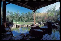 Phoenix Seagaia Ocean Tower - spa