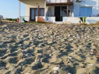 Mattis Seafront Beachhouse Hotels in Perivolia