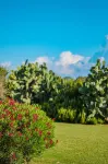 Borgobianco Resort & Spa Polignano - MGallery Hotels in Cozzana
